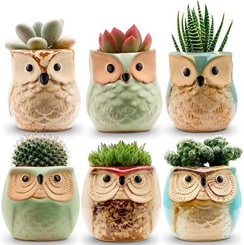 Owl Pots 2.5 Inch,Flowing Glaze Succulent Pots,Owl Planter/Mini Ceramic Pots,Small Flower/Plant/Cactus/Bonsai Container with Hole 6Pack